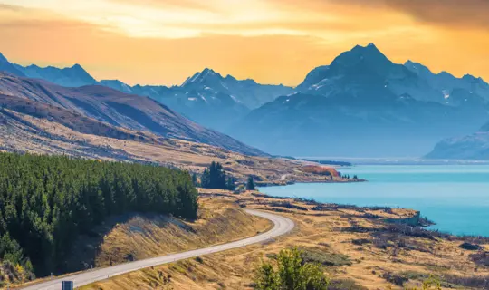 New Zealand Banner 2024