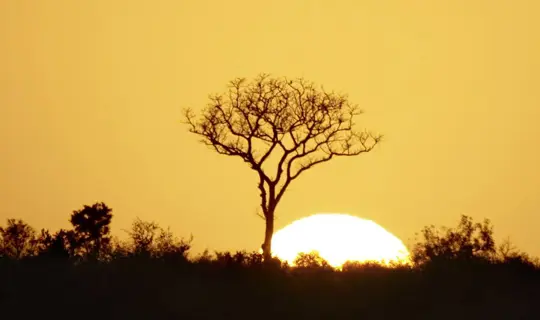 My Story Roger Tull 1920X600