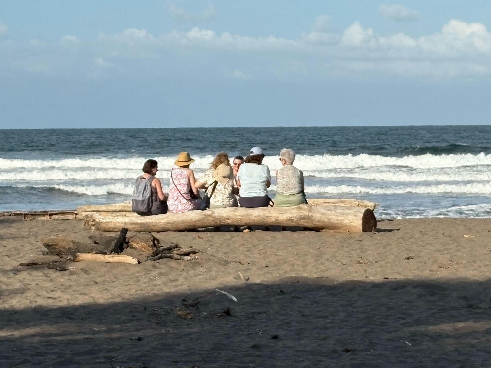 690c8f86-0621-4322-aae0-9f28ce76ed16 (1).jpg