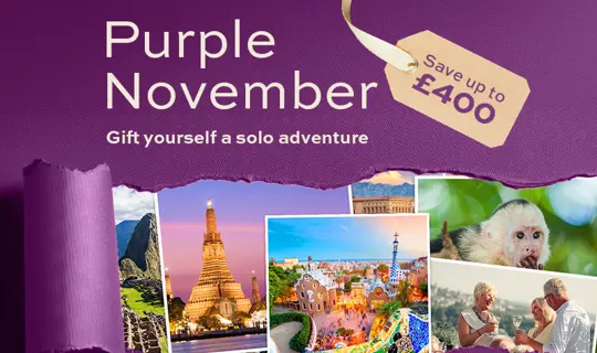 JY Purple November 2025 Homepage Banner Mobile.jpg