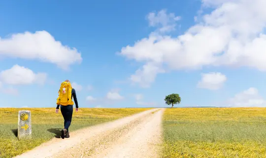 SESCA_870X579.jpg (1)