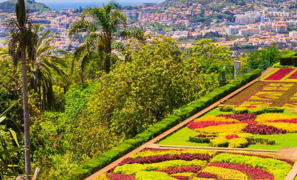 madeira botanical gardens