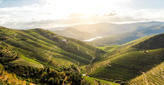 picture picturesque banner.jpg