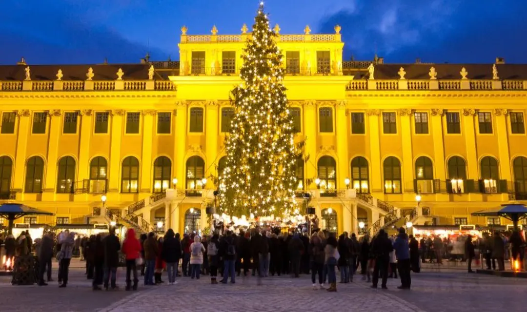 christmas tree in Vienna