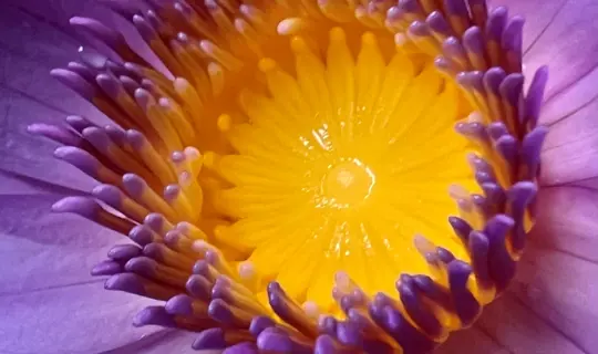 Kathryn Barber Favourite Photo Sri Lanka