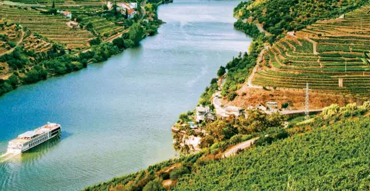 Cruising the Douro Valley 